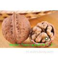 Walnut Kernels Light Amber Helften (LAH) voor geweldige smaak